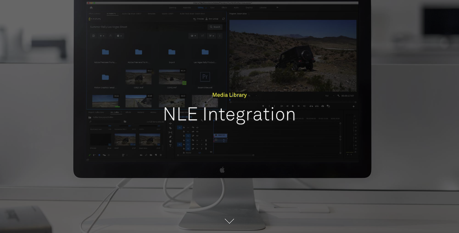  NLE Integration